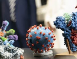 China Claims They've Been 'Open and Transparent' Regarding Wuhan Coronavirus Origins