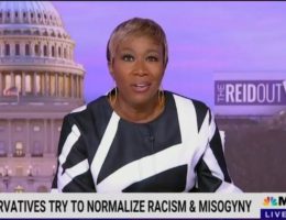 Oh Noes! MSNBC Loon Joy Reid Says DeSantis Is Even Worse Than Trump