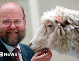 Dolly the sheep creator Ian Wilmut dies aged 79