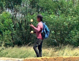 Exploitation Networks Detected: Children From Chiapas Are Used