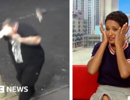 Giggles on the sofa! Pigeon CCTV has BBC hosts in tears